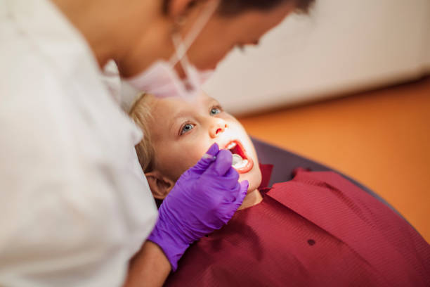Best Emergency Dental Care for Trauma or Injury in Lake Sarasota, FL
